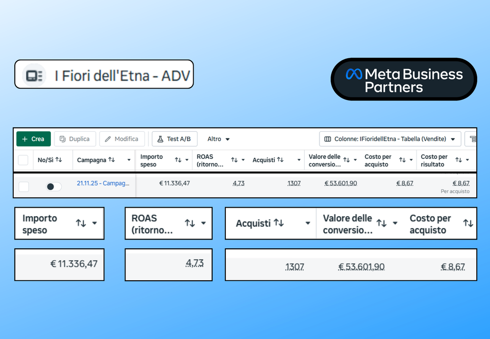 Risultati Meta Ads